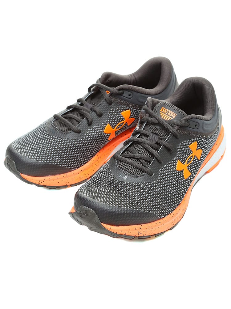 大きいサイズ メンズ UNDER ARMOUR (アンダーアーマー) メッシュアッパー ローカットスニーカー Charged Escape 3 BL WIDE