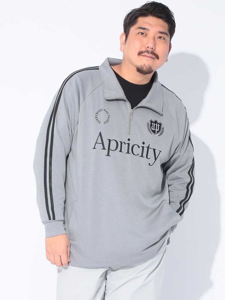 長袖 Tシャツ ポンチ素材 ハーフジップ 長袖 ゲームシャツ プルオーバー ゆったり 大きいサイズ メンズ