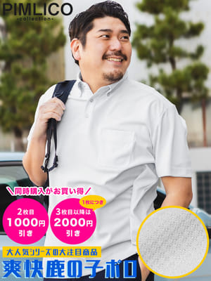 【2点目1000円引き3点目以降2000円引き】半袖 ニットポロシャツ 鹿の子 無地 形態安定 ノーアイロン ノンアイロン SNITTP トップス ワイシャツ ゴルフ 春 夏 大きいサイズ メンズ ビジネス