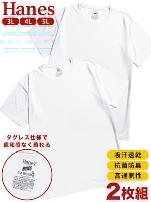 Tシャツ 半袖 メンズ 大きいサイズ 吸汗速乾 抗菌防臭 高通気 メッシュ クルーネック インナーシャツ 2枚セット Hanes ヘインズ