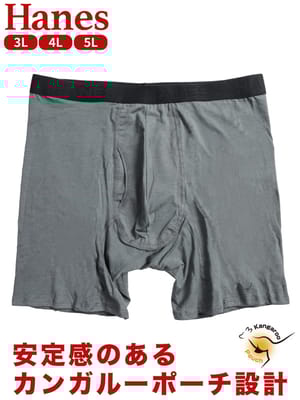 ボクサーパンツ メンズ 大きいサイズ 抗菌防臭 レーヨンブレンド 前開き パンツ Hanes ヘインズ