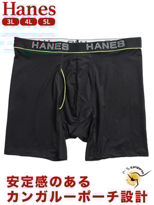 ボクサーパンツ メンズ 大きいサイズ 抗菌防臭 吸汗速乾 メッシュ 前開き パンツ Hanes ヘインズ