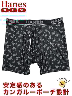 ボクサーパンツ メンズ 大きいサイズ 抗菌防臭 吸汗速乾 ペイズリー柄 メッシュ 前開き パンツ Hanes ヘインズ