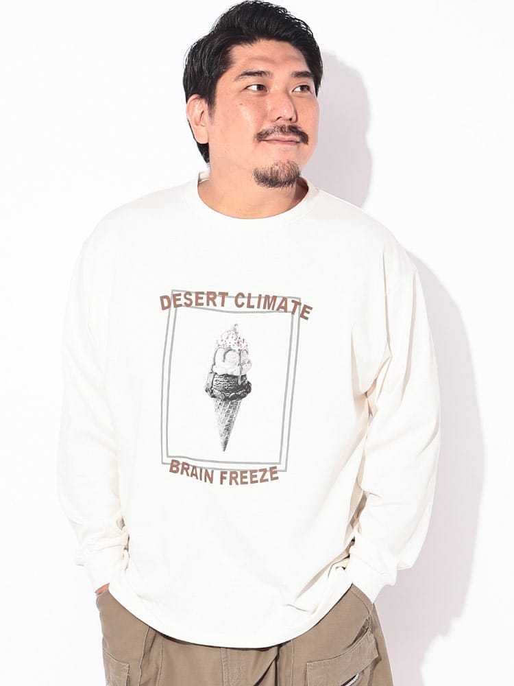 Tシャツ 長袖 メンズ 大きいサイズ 冷感 コットン100％ プリント DESERT CLIMATE クルーネック カットソー トップス 涼しい ひんやり 秋