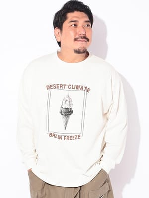 Tシャツ 長袖 メンズ 大きいサイズ 冷感 コットン100％ プリント DESERT CLIMATE クルーネック カットソー トップス 涼しい ひんやり 秋