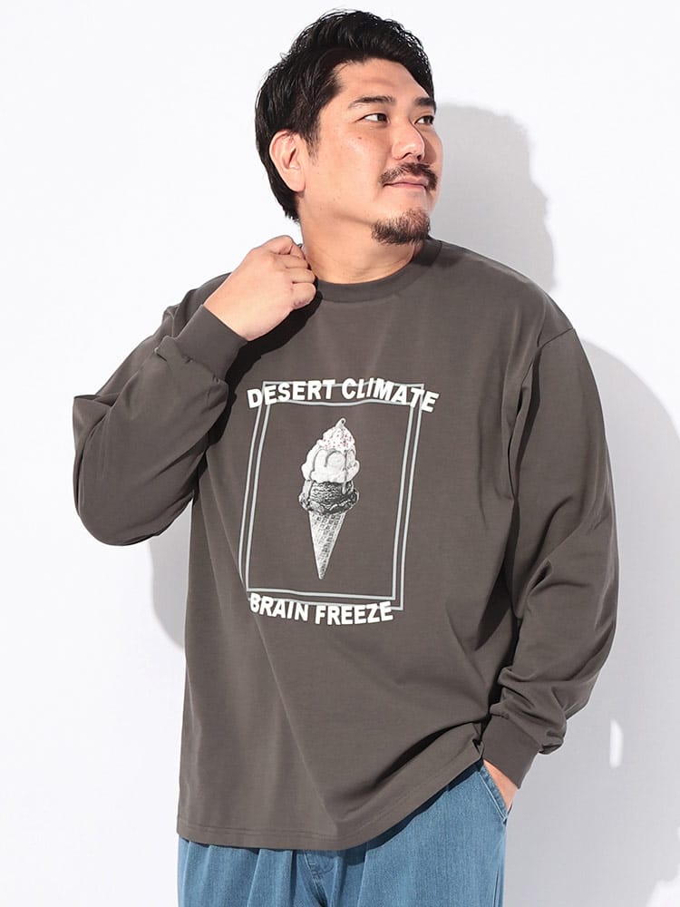Tシャツ 長袖 メンズ 大きいサイズ 冷感 コットン100％ プリント DESERT CLIMATE クルーネック カットソー トップス 涼しい ひんやり 秋