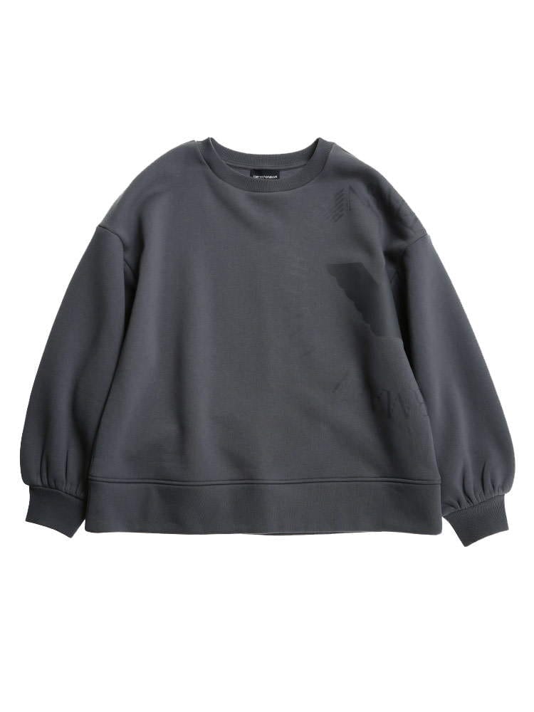 EMPORIO ARMANI (エンポリオ アルマーニ) 裏起毛 サークルロゴ クルーネック トレーナー EAL6K2M7J2JRGZ レディース ロゴ