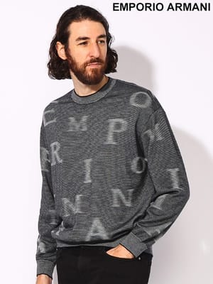 EMPORIO ARMANI (エンポリオアルマーニ) バージンウール マイクロストライプ＆ロゴ クルーネック リブニットセーター EA6D1MX81MJGZ メンズ