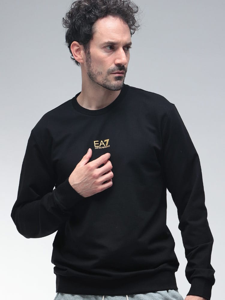EMPORIO ARMANI (エンポリオアルマーニ) EA7 ミニロゴ クルーネック トレーナー EA78NPM30PJVRZ メンズ
