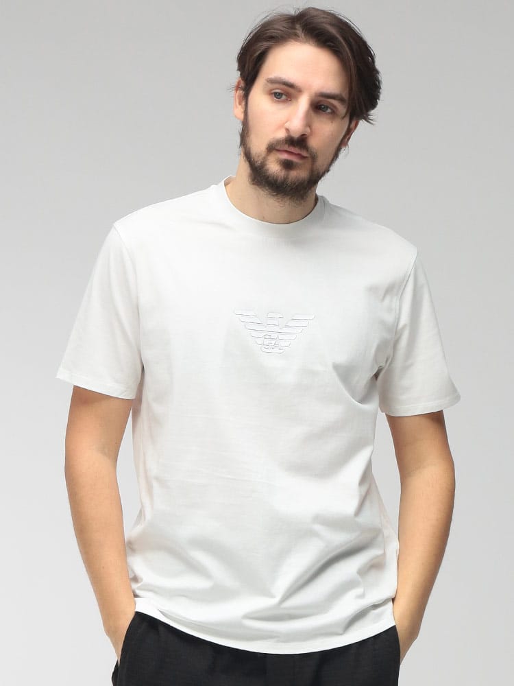 EMPORIO ARMANI (エンポリオアルマーニ) メンズ Tシャツ 半袖 フロントロゴ クルーネック カットソー EAEM4583AF13669