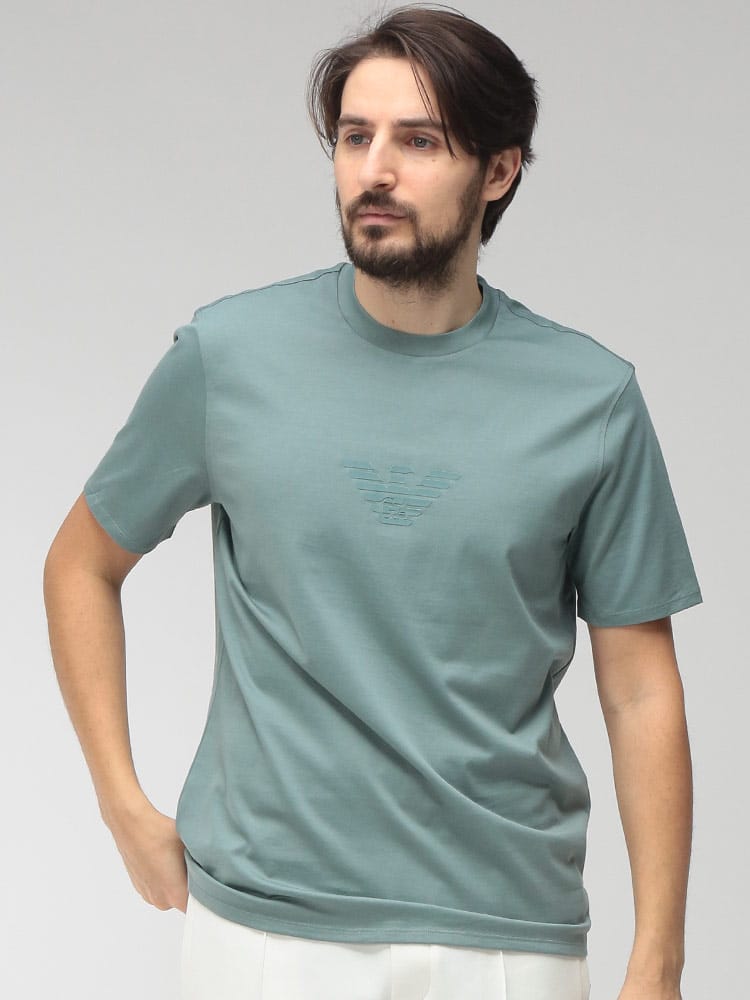 EMPORIO ARMANI (エンポリオアルマーニ) メンズ Tシャツ 半袖 フロントロゴ クルーネック カットソー EAEM4583AF13669