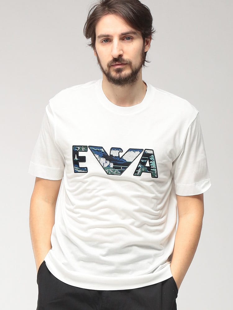 EMPORIO ARMANI (エンポリオアルマーニ) メンズ Tシャツ 半袖 刺繍ロゴ クルーネック カットソー EAEM5278AF13747