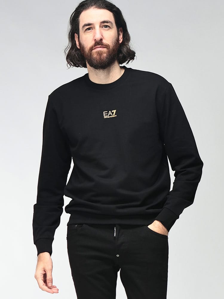 EMPORIO ARMANI (エンポリオアルマーニ) メンズ トレーナー 長袖 ミニロゴ クルーネック スウェット EA78NPM30PJVRZ0
