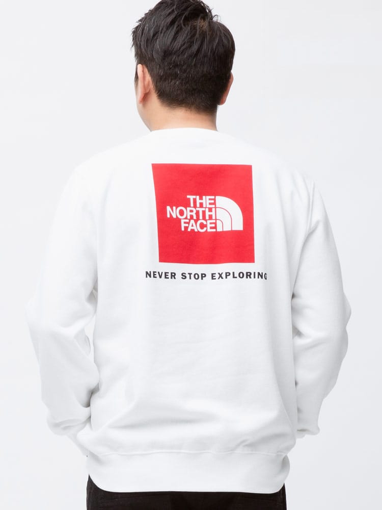 大きいサイズ メンズ THE NORTH FACE (ザ ノースフェイス) 裏起毛 バックBOXロゴ クルーネック トレーナー BOX NSE CREW