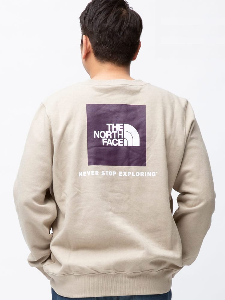 大きいサイズ メンズ THE NORTH FACE (ザ ノースフェイス) 裏起毛 バックBOXロゴ クルーネック トレーナー BOX NSE CREW