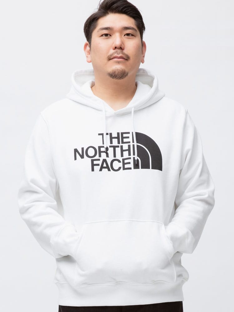 大きいサイズ メンズ THE NORTH FACE (ザ ノースフェイス) 裏起毛 フロントロゴ プルオーバー パーカー HALF DOME PO HDY