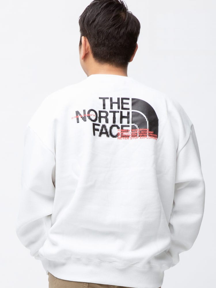 大きいサイズ メンズ THE NORTH FACE (ザ ノースフェイス) 裏起毛 バックロゴ クルーネック トレーナー COORDNTS CREW