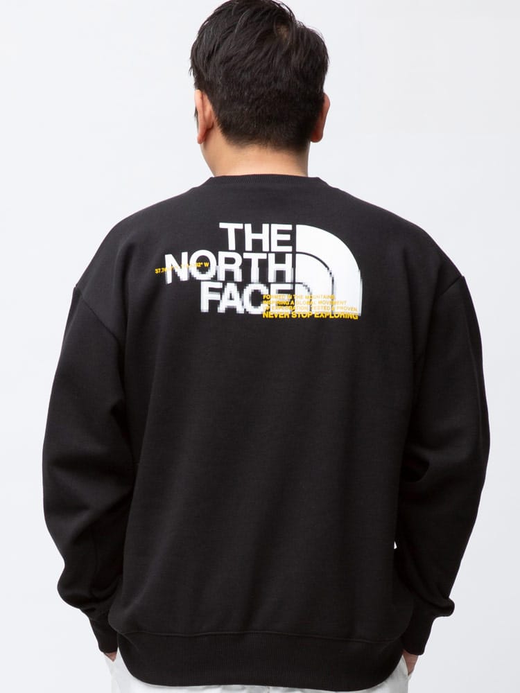 大きいサイズ メンズ THE NORTH FACE (ザ ノースフェイス) 裏起毛 