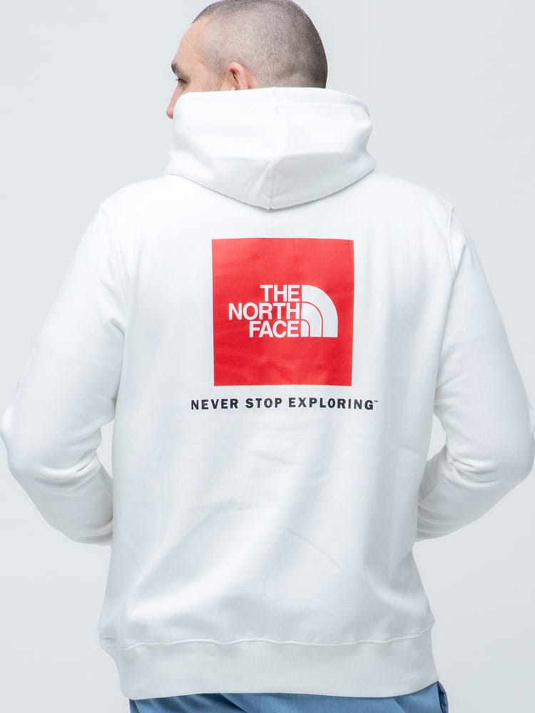 大きいサイズ メンズ THE NORTH FACE (ザ ノースフェイス) 裏起毛 バックBOXロゴ プルオーバー パーカー BOX NSE PO HDY
