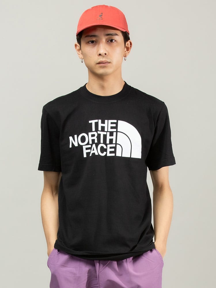 THE NORTH FACE (ザ ノースフェイス) フロントロゴ クルーネック 半袖 Tシャツ HALF DOME TEE