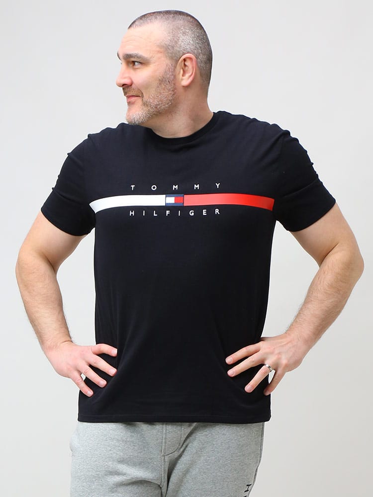 TOMMY HILFIGER トミーヒルフィガー ライン クルーネック 半袖 Tシャツ FLAG STRIPE TEE 大きいサイズ メンズ