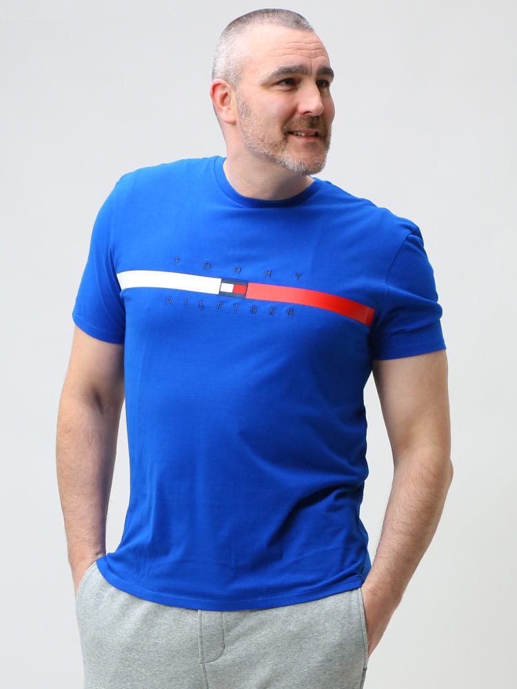 TOMMY HILFIGER トミーヒルフィガー ライン クルーネック 半袖 Tシャツ FLAG STRIPE TEE 大きいサイズ メンズ