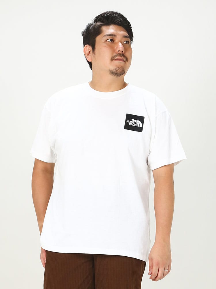 大きいサイズ メンズ THE NORTH FACE (ザ ノースフェイス) BOXロゴ クルーネック 半袖 Tシャツ HEAVYWEIGHT BOX TEE