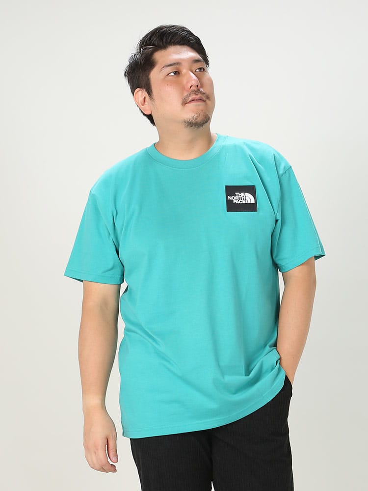 大きいサイズ メンズ THE NORTH FACE (ザ ノースフェイス) BOXロゴ クルーネック 半袖 Tシャツ HEAVYWEIGHT BOX TEE