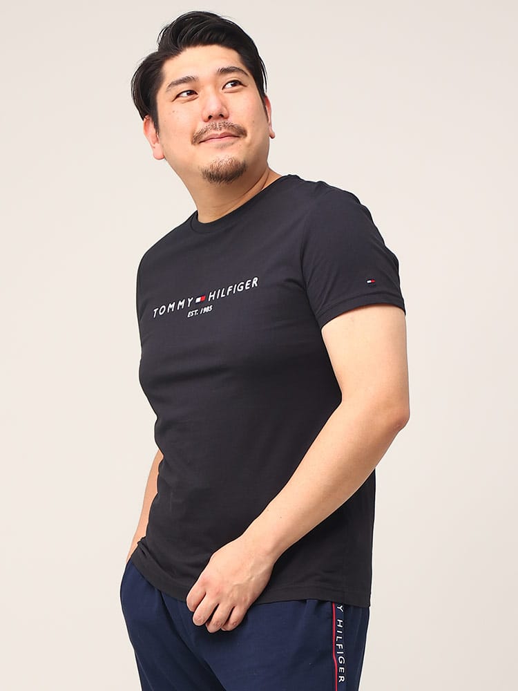 大きいサイズ メンズ TOMMY HILFIGER (トミーヒルフィガー) ロゴ刺繍 クルーネック 半袖 Tシャツ