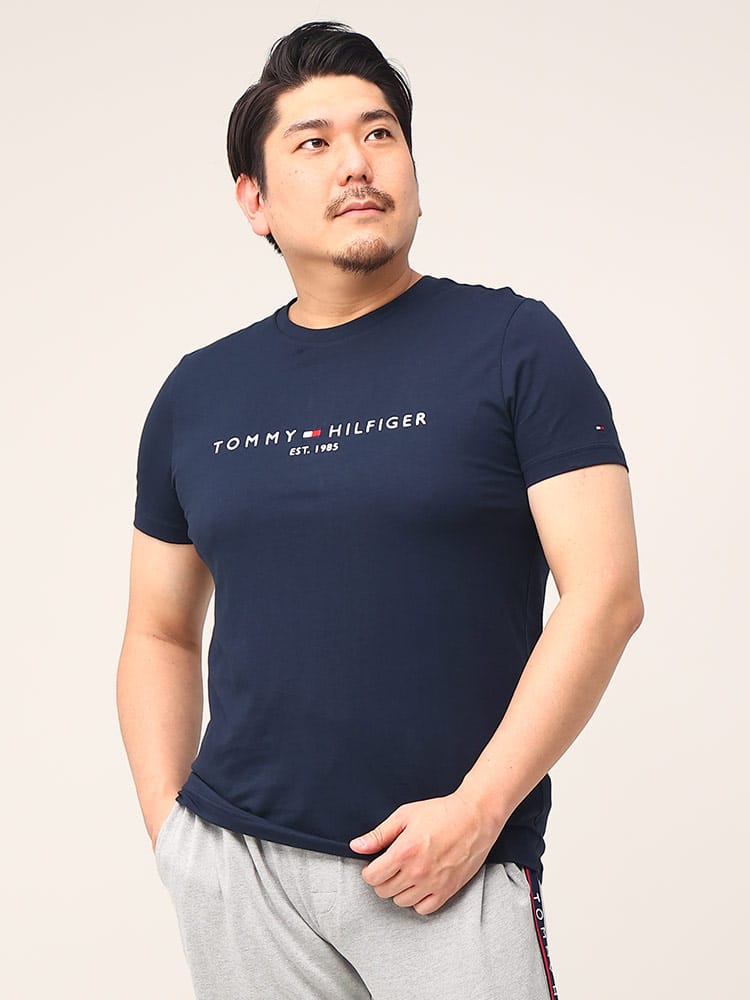 大きいサイズ メンズ TOMMY HILFIGER (トミーヒルフィガー) ロゴ刺繍 クルーネック 半袖 Tシャツ