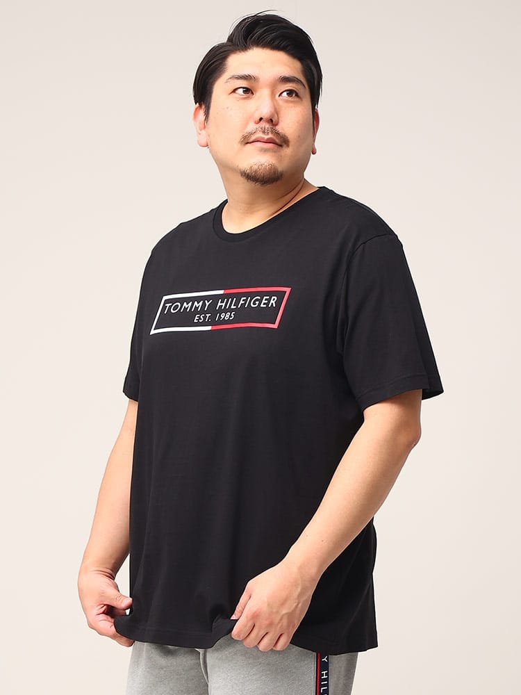 TOMMY HILFIGER トミーヒルフィガー ロゴプリント クルーネック 半袖 Tシャツ 大きいサイズ メンズ