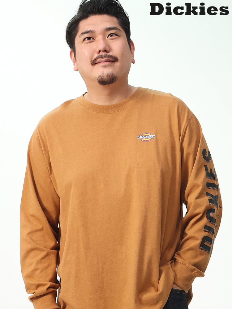 アームロゴ クルーネック 長袖 Tシャツ (Dickies) ディッキーズ 大きいサイズ メンズ