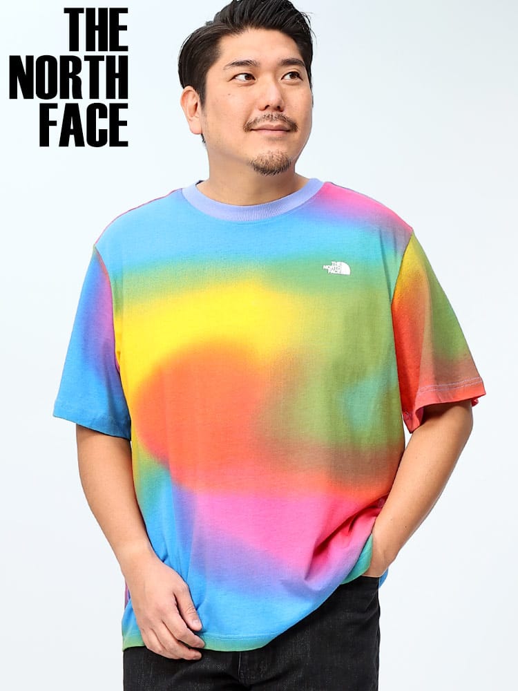 THE NORTH FACE ザ ノースフェイス 半袖 Tシャツ Men'z Aop Box Fit Tee 総柄 カラフル ロゴ プリント コットン 大きいサイズ メンズ ブランド
