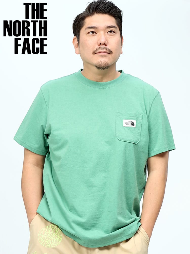 THE NORTH FACE ザ ノースフェイス 半袖 Ｔシャツ ヘリテイジ パッチポケット HERITAGE PATCH POCKET TEE コットン ポケット付き 大きいサイズ メンズ ブランド