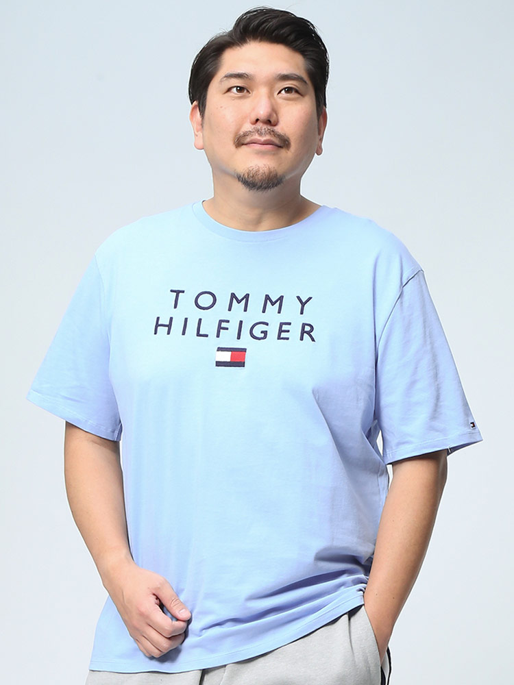 TOMMY HILFIGER トミーヒルフィガー ロゴ フラッグ刺繍 半袖 ...
