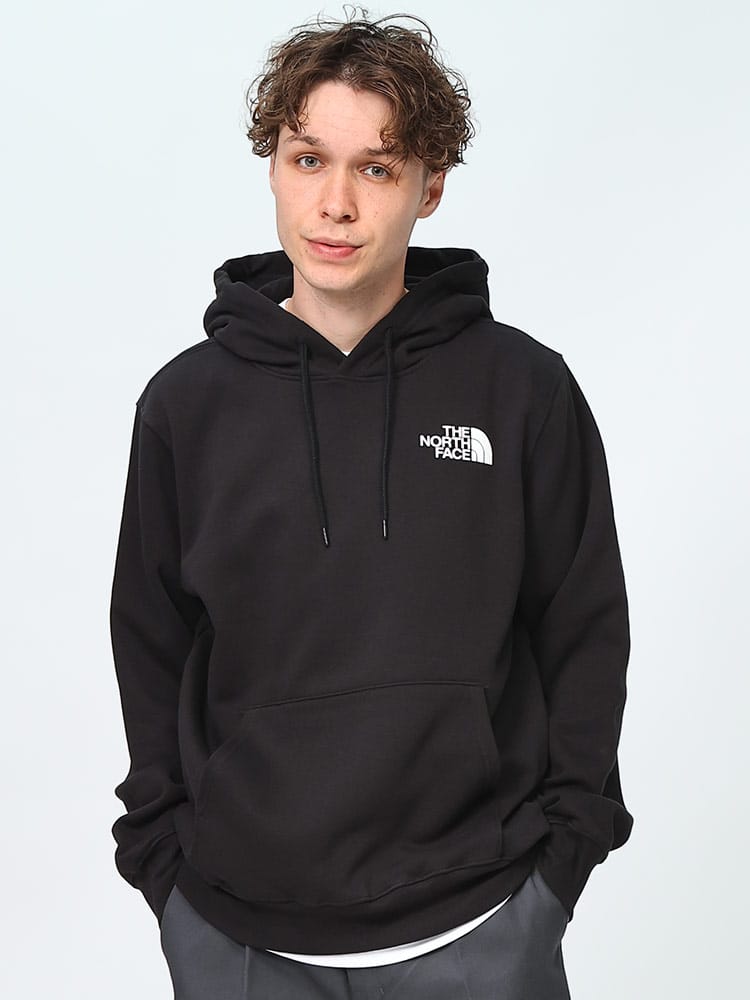 THE NORTH FACE (ザ ノースフェイス) 裏起毛 BOXバックプリント プルオーバー パーカー M BOX NSE PULLOVER HOODIE