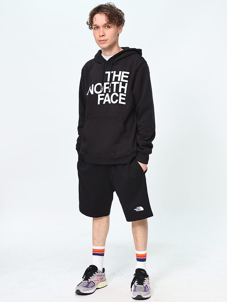 THE NORTH FACE (ザ ノースフェイス) 裏起毛 BIGロゴプリント プルオーバー パーカーM Brand Proud HOODY