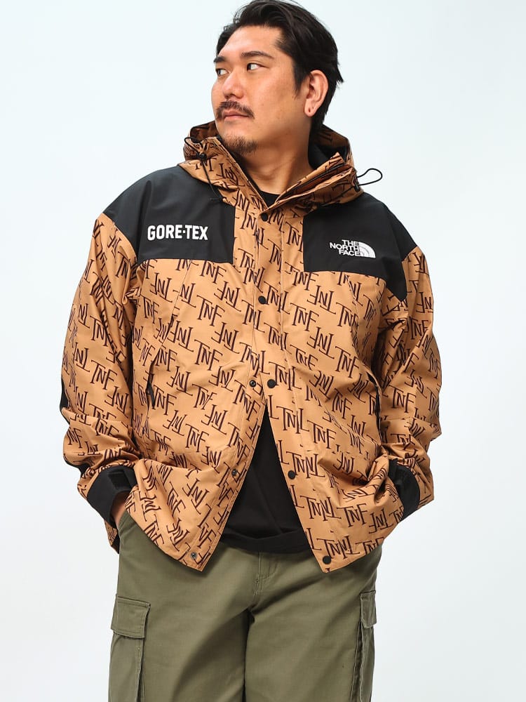 マウンテンジャケット GORE-TEX フルジップ＆ボタン GTX MounTain JackeT NF0A831D22 大きいサイズ メンズ