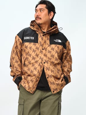 THE NORTH FACE (ザ ノースフェイス) GORE-TEX ロゴ刺繍 フルジップ 
