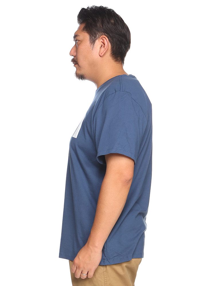 半袖 Tシャツ ロゴプリント クルーネック Half Dome Tee