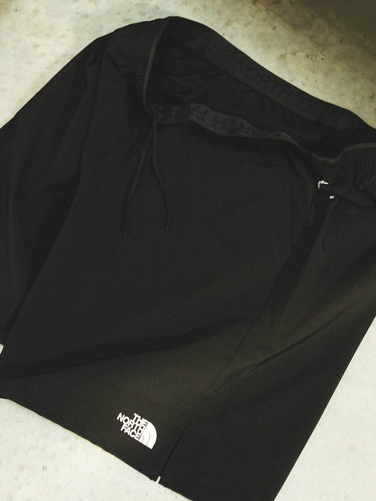 THE NORTH FACE (ザ ノースフェイス) ストレッチ ワンポイント ショートパンツ WANDER SHORT 2.0 NF0A86R6D12