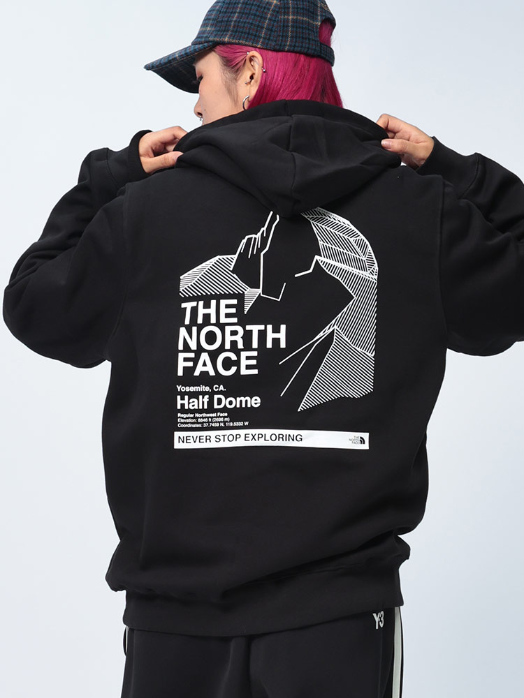 THE NORTH FACE  (ザ ノースフェイス) 裏起毛 バックロゴ プルオーバー パーカー PLACES WELOVE HOODIE NF0A86WY