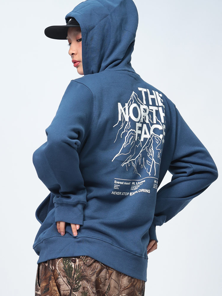 THE NORTH FACE  (ザ ノースフェイス) 裏起毛 バックロゴ プルオーバー パーカー PLACES WELOVE HOODIE NF0A86WY