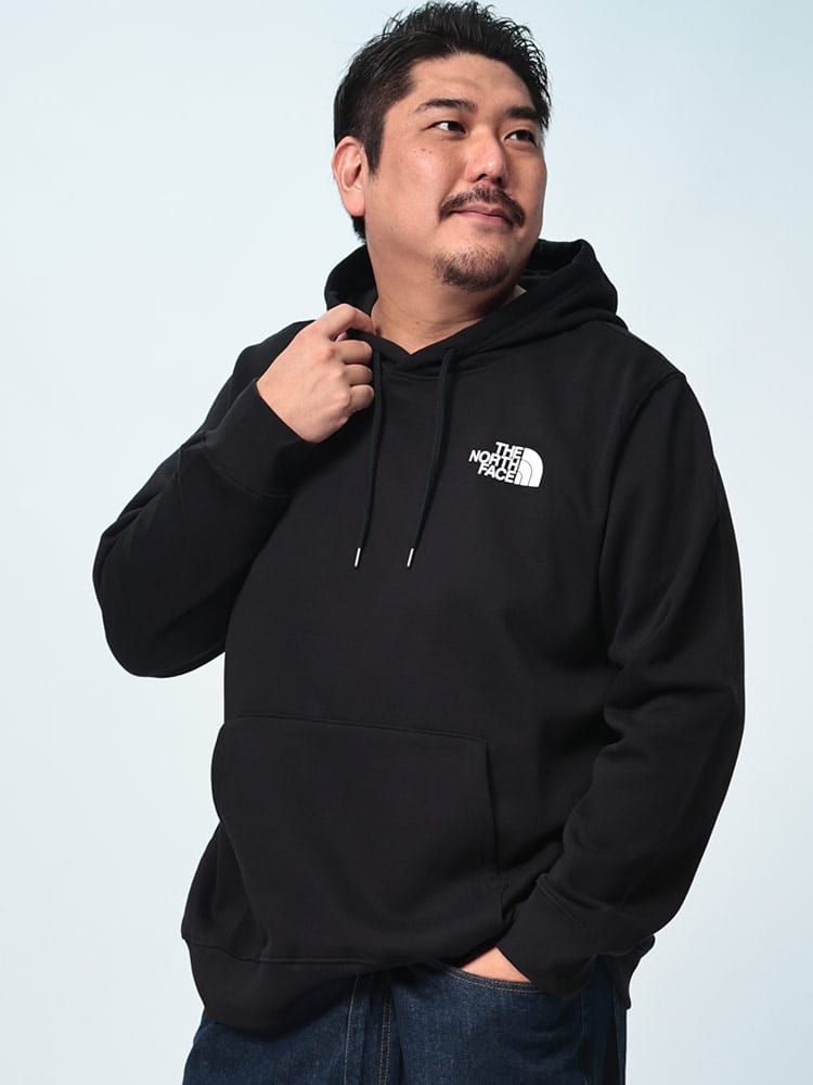 プルオーバー パーカー 裏起毛 バックプリント  PLACES WE LOVE HOODIE トップス スウェット フード 秋冬 大きいサイズ メンズ