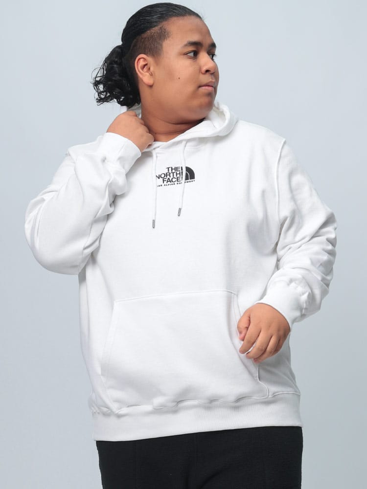 プルオーバー パーカー 裏起毛  FINE ALPINE HOODIE トップス プリント フード 秋冬 大きいサイズ メンズ