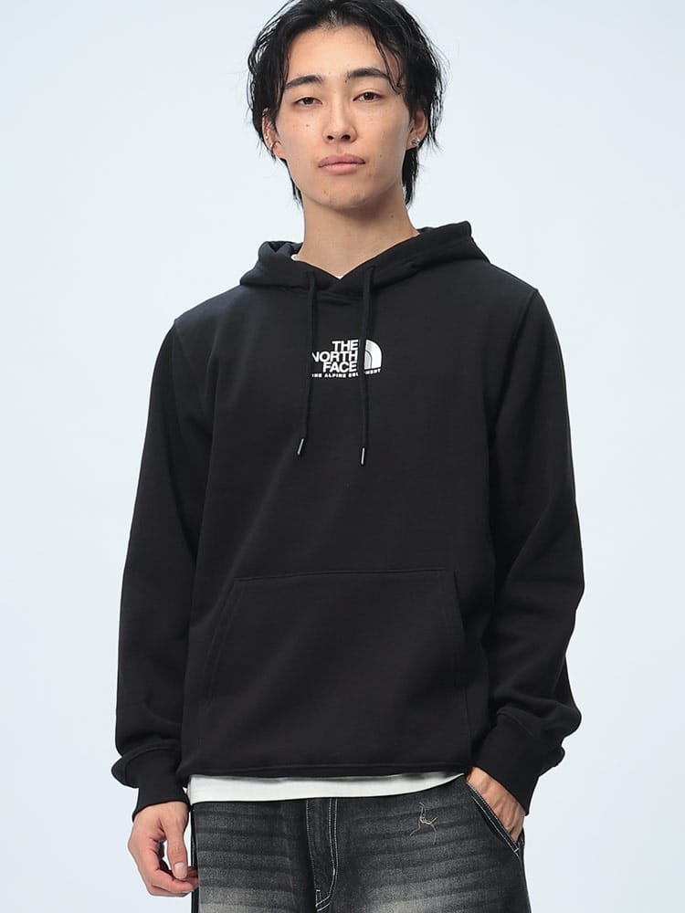 THE NORTH FACE (ザ ノースフェイス) 裏起毛 ロゴプリント プルオーバー パーカー FINE ALPINE HOODIE NF0A8APT