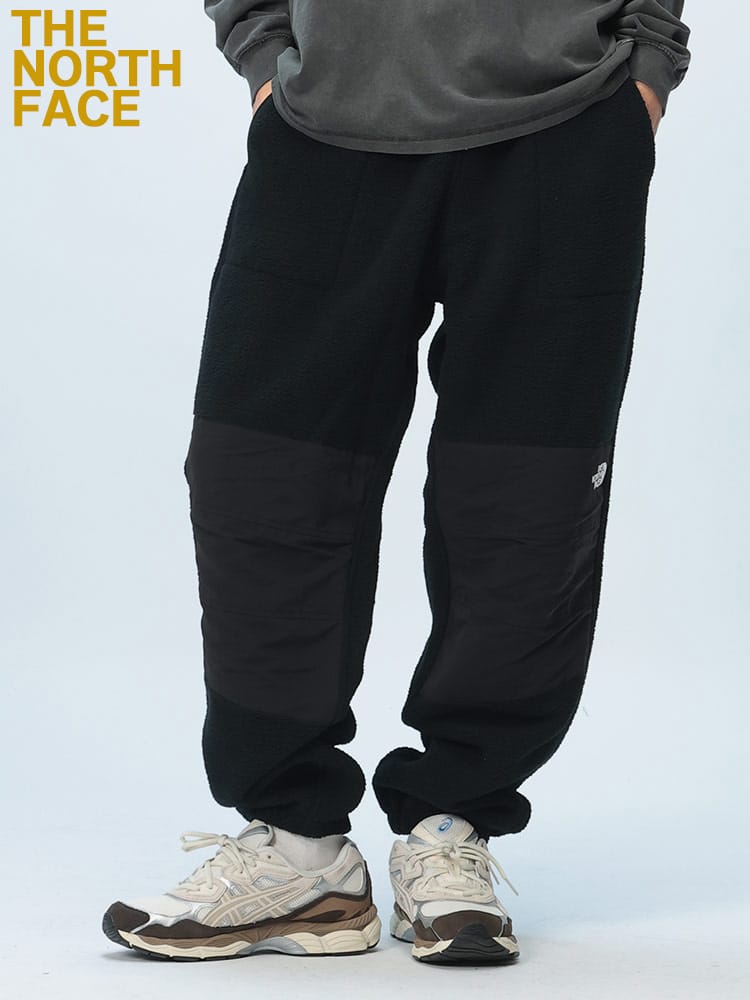 THE NORTH FACE (ザ ノースフェイス) ボアフリース パネル切替 アクティブ トラックパンツ RETRO DENALI PANT NF0A88XK