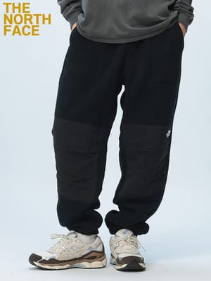 THE NORTH FACE (ザ ノースフェイス) ボアフリース パネル切替 トラックパンツ RETRO DENALI PANT NF0A88XK