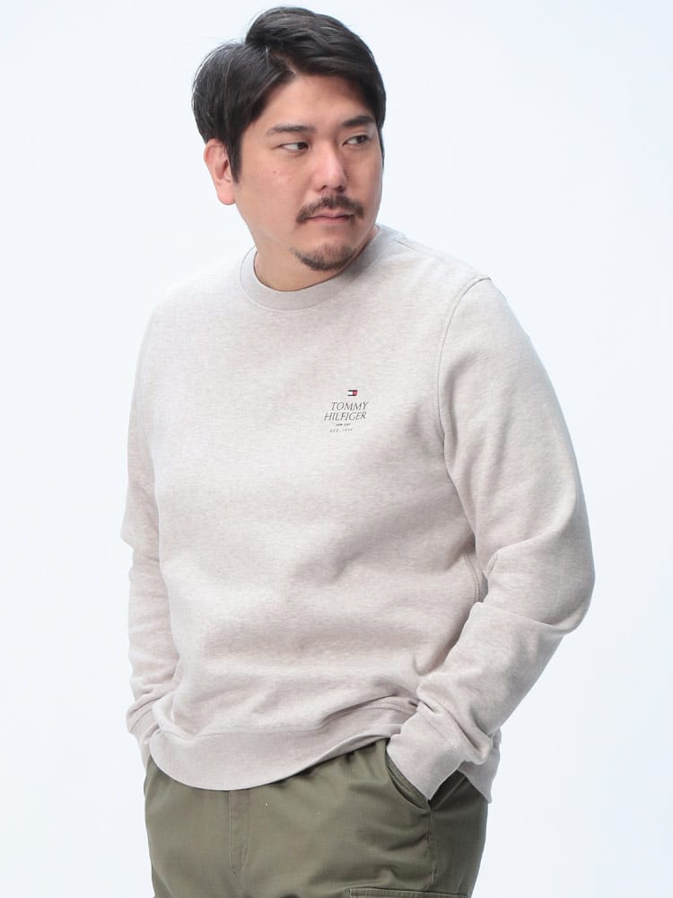 トレーナー 裏起毛 胸ロゴ クルーネック スウェット トップス 長袖 プルオーバー 起毛 秋冬 大きいサイズ メンズ