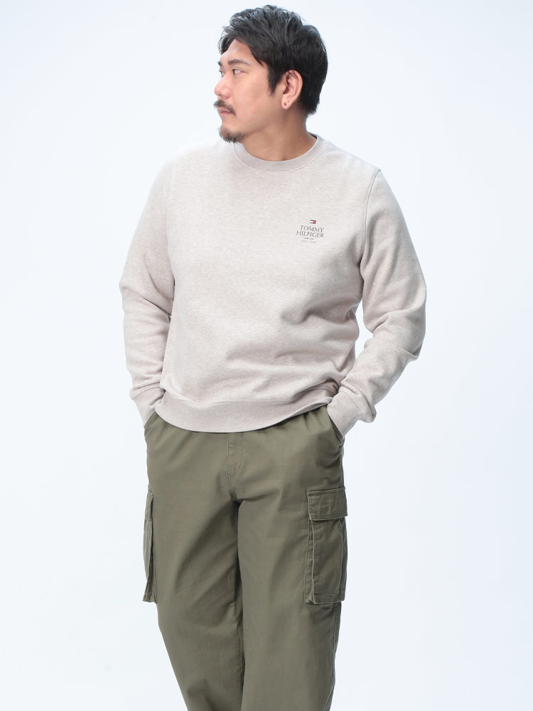 トレーナー 裏起毛 胸ロゴ クルーネック スウェット トップス